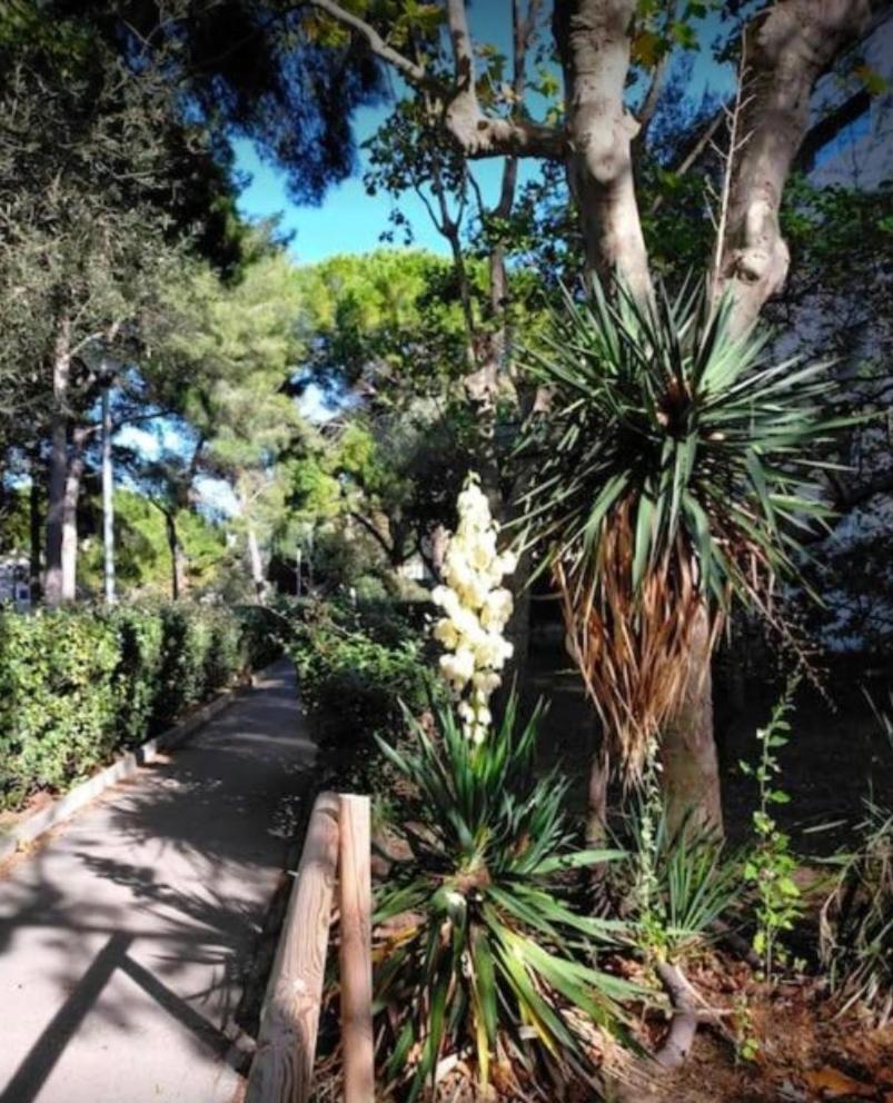 Studio Marseille Calanques Marselha Exterior foto